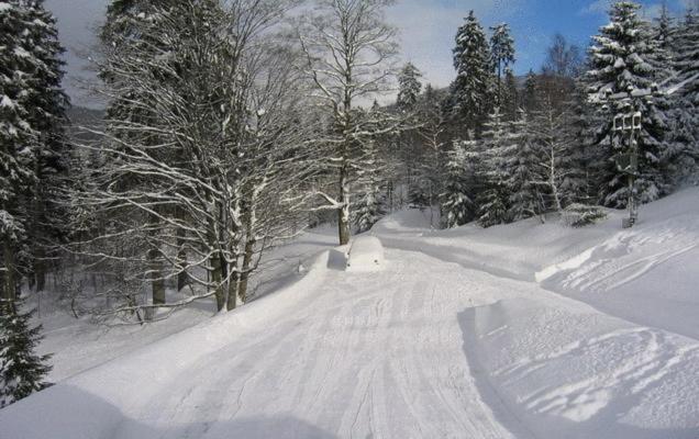 Pension Fontana Spindleruv Mlyn Exterior photo